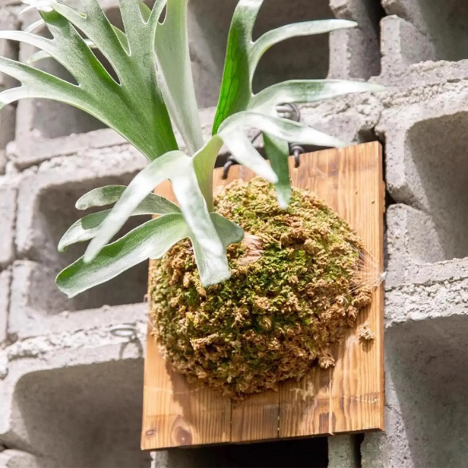 Vertical Wall Planter - 1 Pezzo Fioriera da Parete per