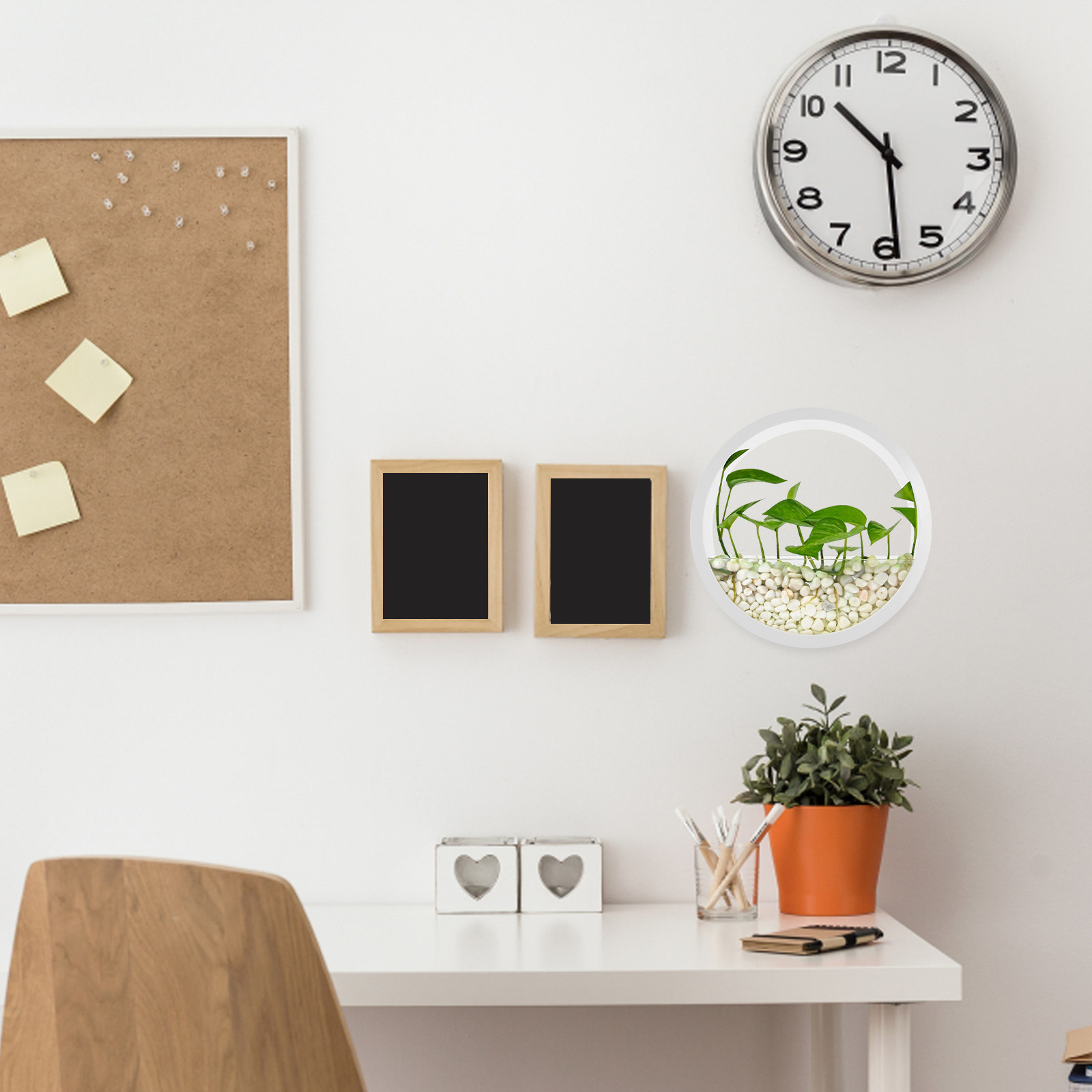 Vaso da Parete Rotondo Traspar - Vertical Wall Planter recensione e prezzo