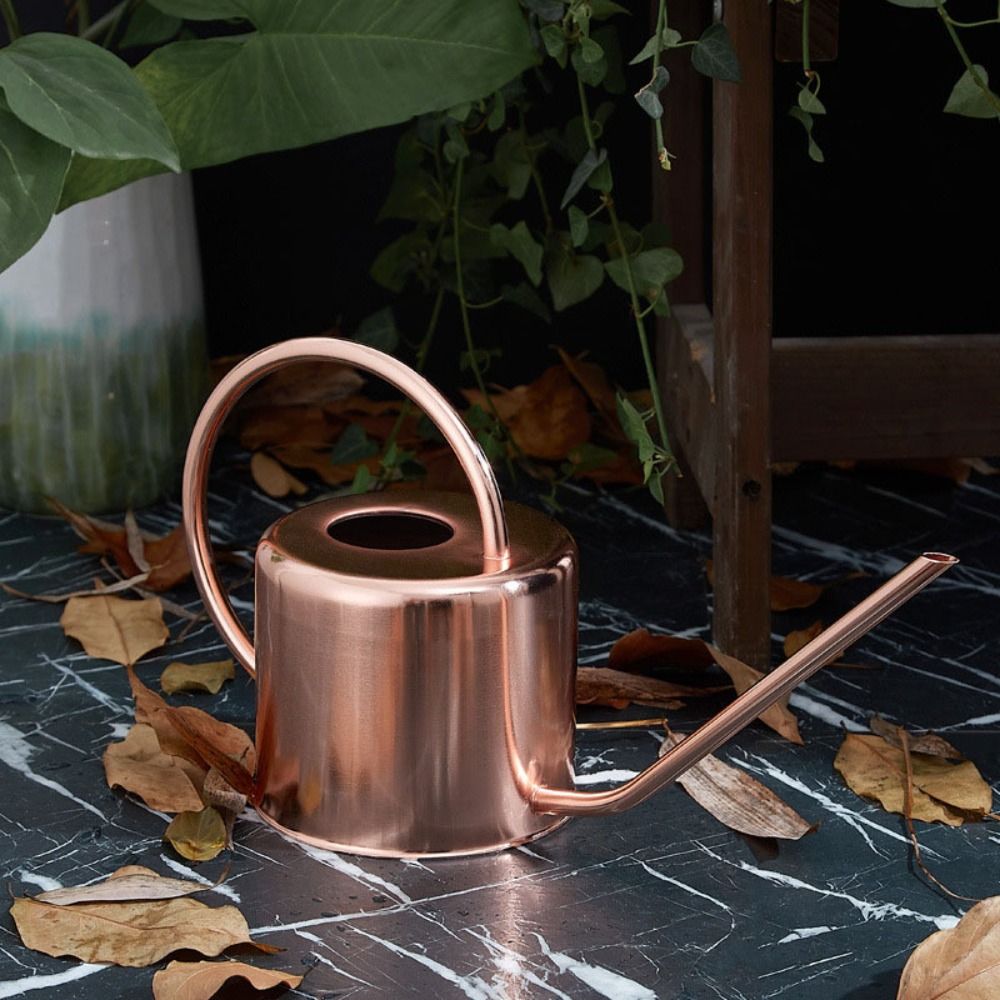 u Bollitore per piante da 1,3  - Gardening Tools Best Quality recensione e prezzo