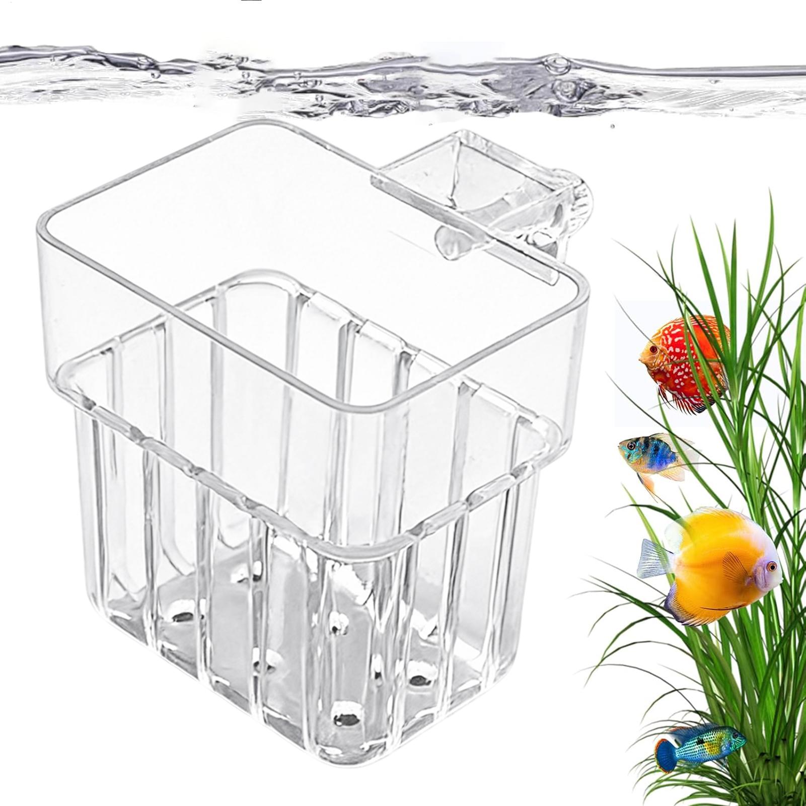 Vaso Trasparente Appendibile p - Gardening Tools Brands recensione e prezzo