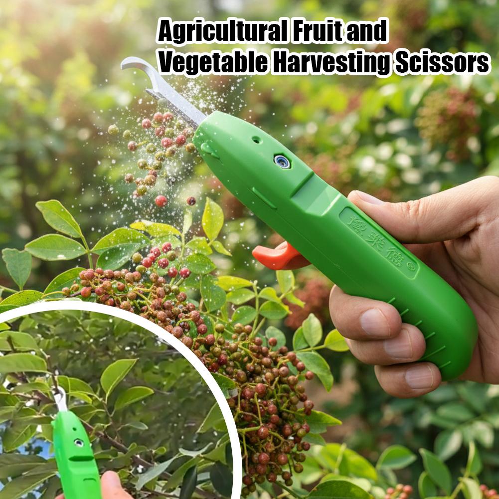 Forbici per la Raccolta di Fru - Gardening Tools Cutter recensione e prezzo