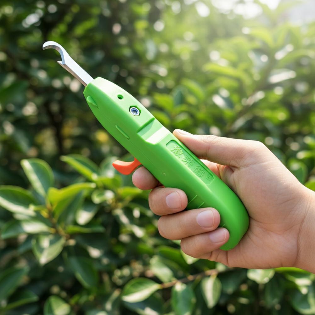 Forbici per la Raccolta di Fru - Gardening Tools Cutter recensione e prezzo