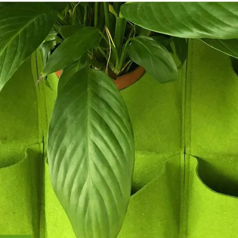 Fioriera da giardino sospesa v - Vertical Wall Planter recensione e prezzo