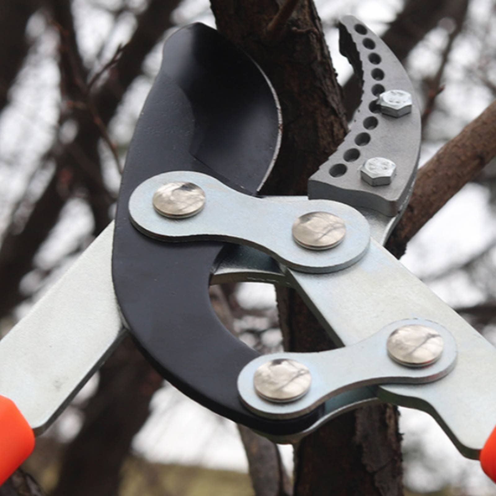 Forbici Telescopiche per Potat - Gardening Tool recensione e prezzo
