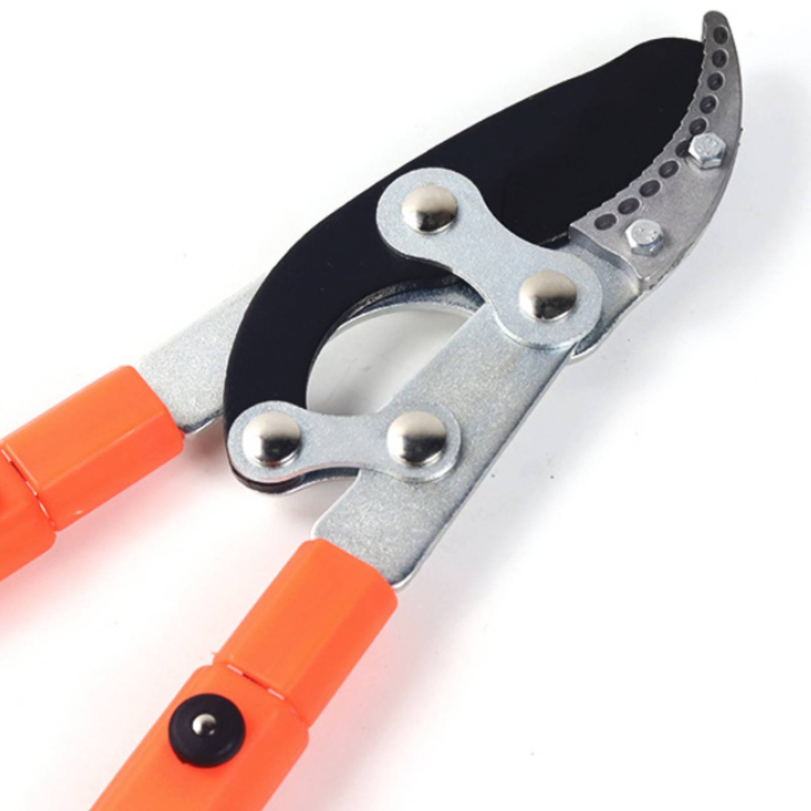 Forbici Telescopiche per Potat - Gardening Tool recensione e prezzo