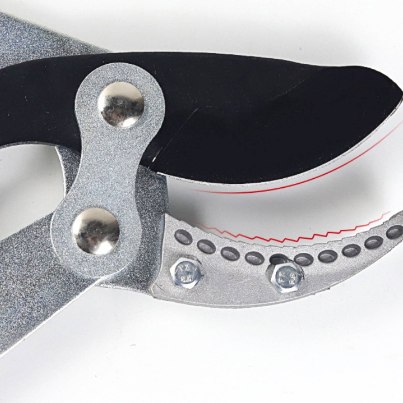 Forbici Telescopiche per Potat - Gardening Tool recensione e prezzo