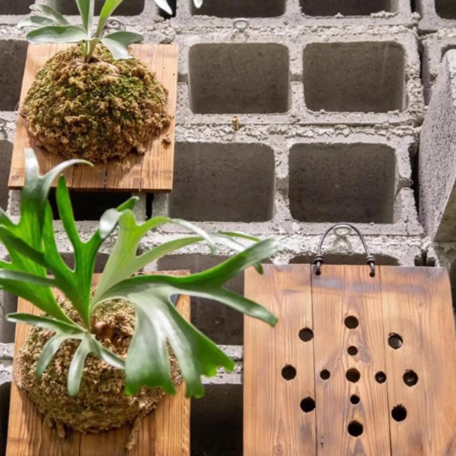 1 Pezzo Fioriera da Parete per - Vertical Wall Planter recensione e prezzo