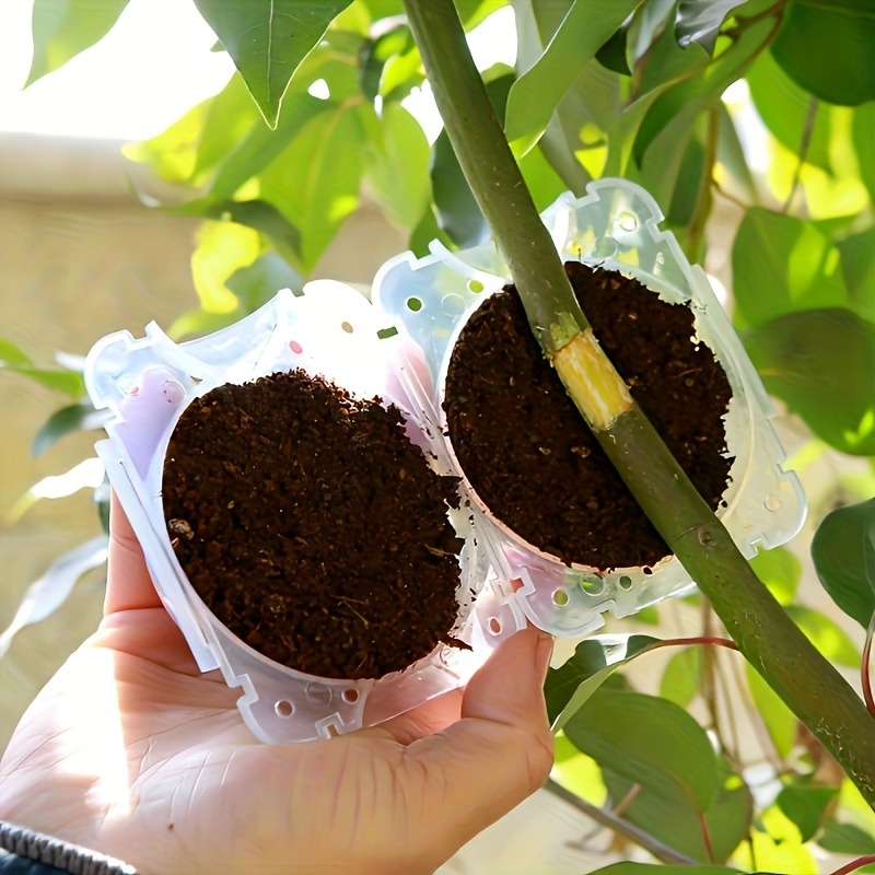 Kit da 10 Pezzi per Propagazio - Gardening Tools Cutter recensione e prezzo