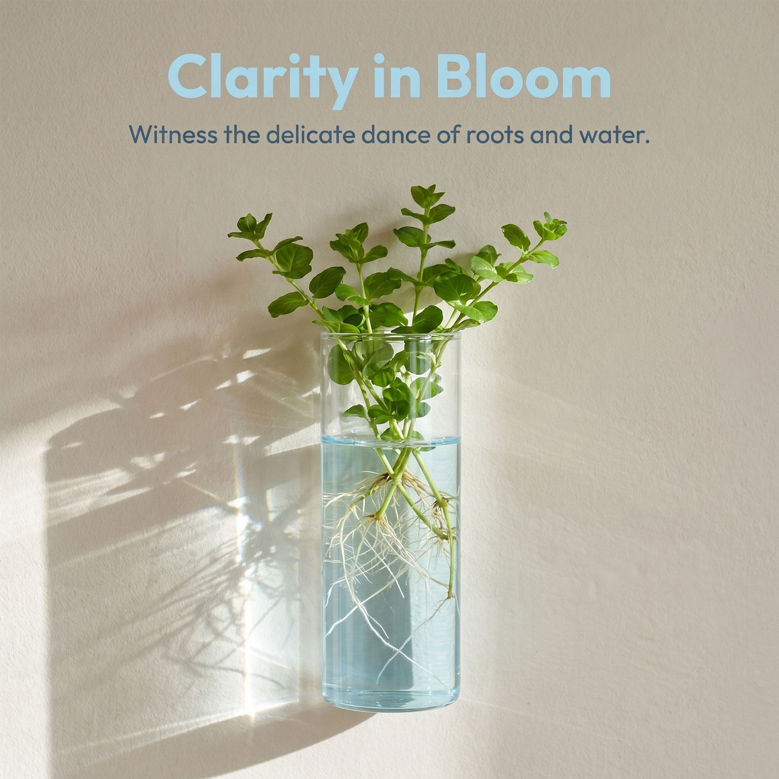 5 Pezzi di Vasi Cilindrici in  - Vertical Wall Planter recensione e prezzo